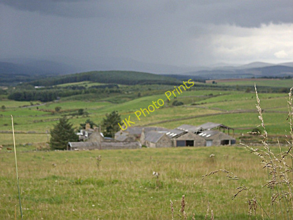 Photo 6"x4" Gairn Farm Blacktop c2010