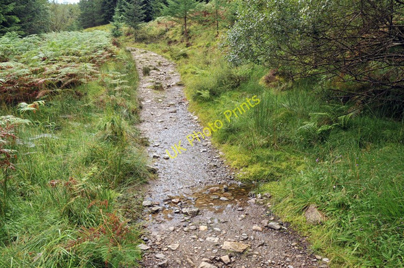 Photo 6"x4" Ford on the West Highland Way near Ewich Crianlarich c2010