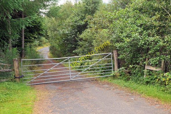 Photo 6"x4" Estate road at Lochdochart Estate Lochdochart Ho c2010