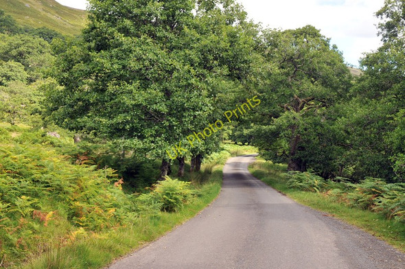 Photo 6"x4" Road through Glen Lochay Allt Ghaordaidh c2010