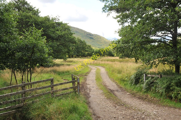 Photo 6"x4" Farm road to Innischoarach Innischoarach c2010