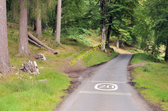 Photo 6"x4" Road and track into the woodland near Bridge of Balgie Bridge of Balgie c2010