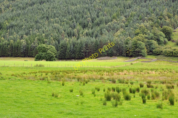 Photo 6"x4" Sheep fank across the fields near Invervar Camusvrachan c2010
