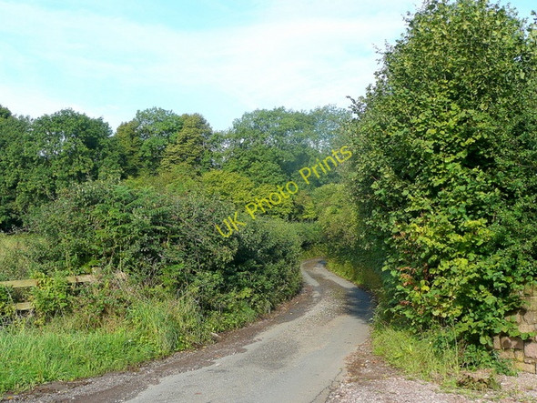Photo 6"x4" Rosemary Lane Park Hill\/ST5699 c2010