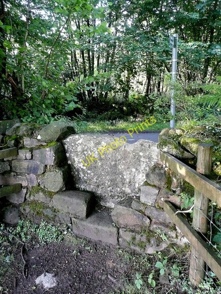 Photo 6"x4" Stone stile at Poor's Allotment Tidenham Chase c2010