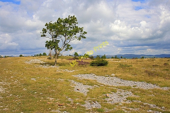 Photo 6"x4" Limestone Outcrops, Helsington Barrows Brigsteer c2010
