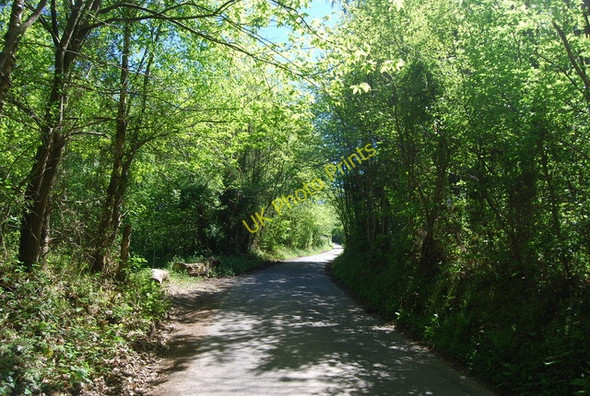 Photo 6"x4" Dewhurst Lane Wood's Green c2010