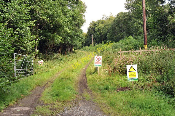 Photo 6"x4" Forest road into Drummond Hill Fearnan c2010