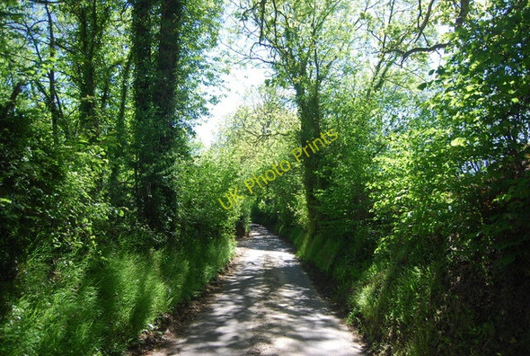 Photo 6"x4" Dewhurst Lane heading south Durgates c2010
