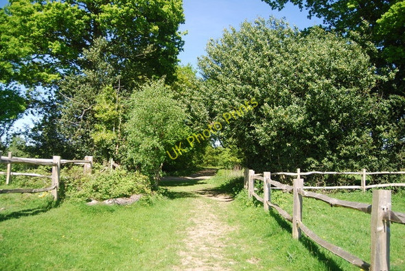 Photo 6"x4" Bridleway north of Glebe Farm Frant c2010