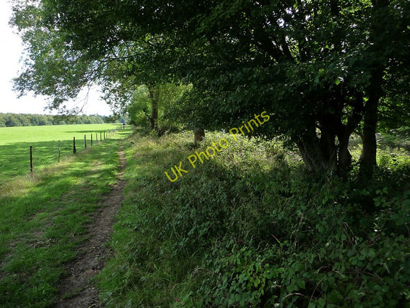 Photo 6"x4" Path beside Stansted Woods Forestside c2010