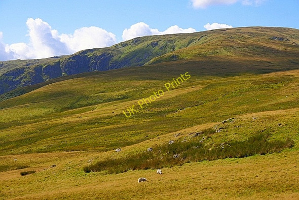 Photo 6"x4" Eastern Slope of Hare Shaw Selside End c2010