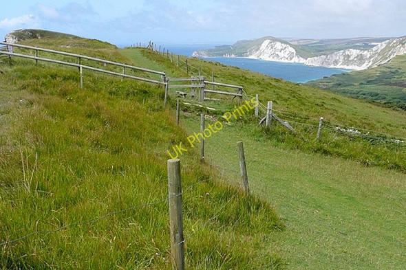 Photo 6"x4" On Gad Cliff Tyneham c2009