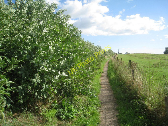 Photo 6"x4" Footpath to Pailton Brockhurst\/SP4683 c2010