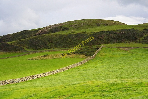 Photo 6"x4" White Hill Barend\/NX8855 c2010