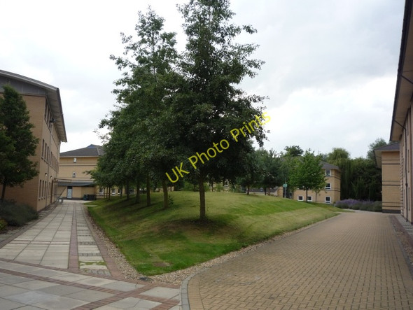 Photo 6"x4" James college quad Heslington c2010