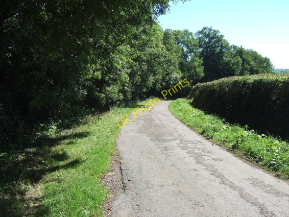 Photo 6"x4" Road to Ashculme from Combe Hill Brownheath\/ST1415 c2010