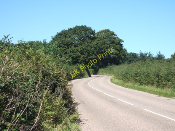 Photo 6"x4" Road on Combe Hill Simonsburrow c2010