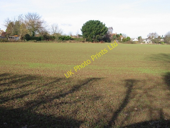 Photo 6"x4" View N across fields towards houses on A257 near Wingham Wingham Green c2007