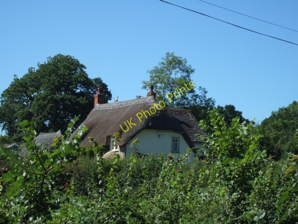 Photo 6"x4" Thatched roof in Culm Davy Culm Davy c2010