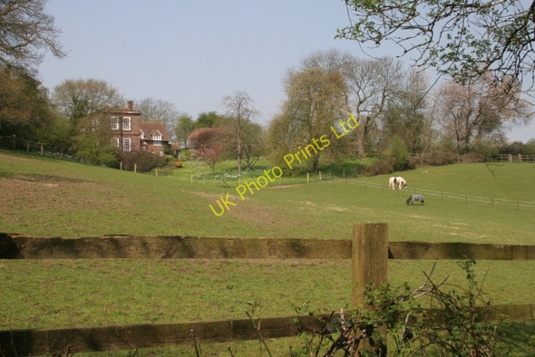 Photo 6"x4" Near Piddington Wheeler End c2005