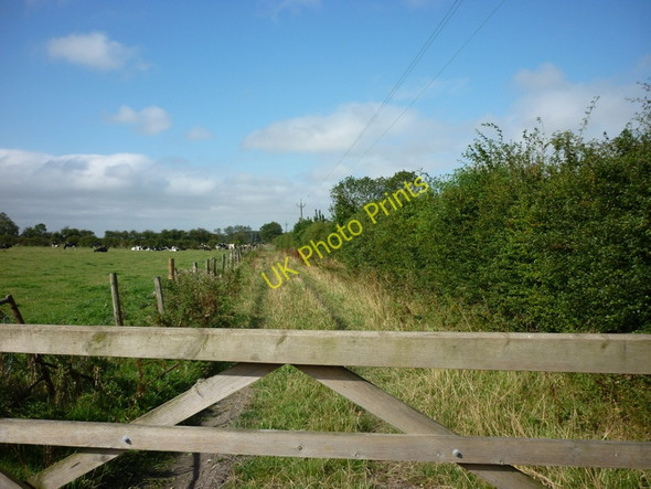 Photo 6"x4" A walk from Pickering #16 Pickering\/SE7984 c2010