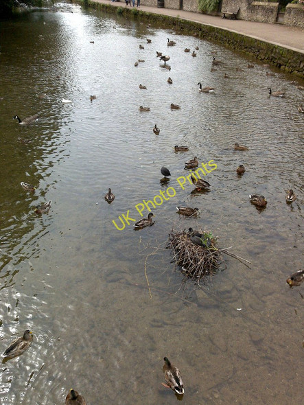 Photo 6"x4" The River Wye Bakewell c2010