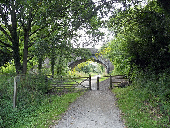 Photo 6"x4" NCR 56 at Willaston Picnic Area Willaston\/SJ3377 c2010