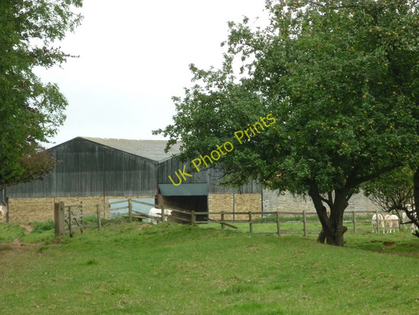 Photo 6"x4" A walk from Pickering #35 Marton\/SE7383 c2010