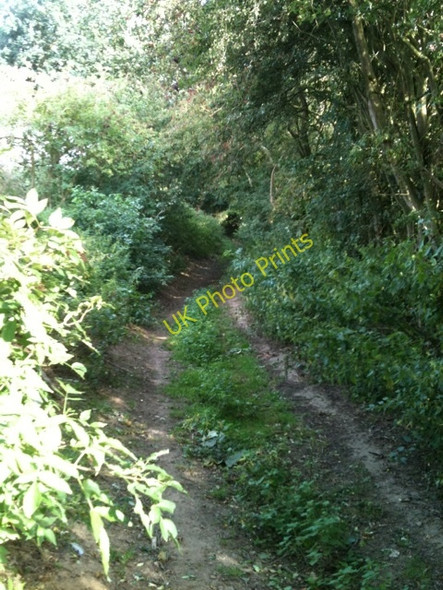 Photo 6"x4" St Andrews Lane High Hutton c2010