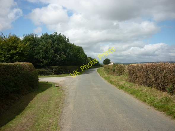 Photo 6"x4" A walk from Pickering #74 Muscoates c2010