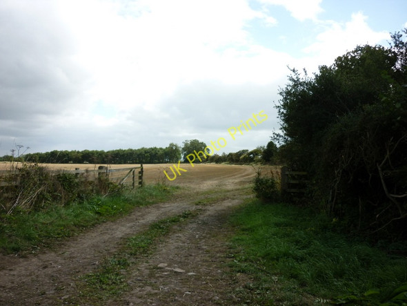 Photo 6"x4" A walk from Pickering #81 Muscoates c2010