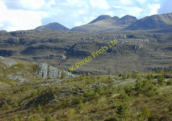Photo 6"x4" Young conifers Abhainn a' Gharbh-Choire c2003