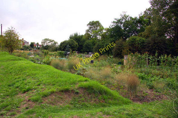 Photo 6"x4" Allotments at Piddington Piddington\/SU8094 c2010