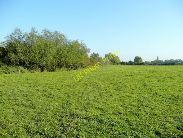 Photo 6"x4" Pastoral scene The Leigh c2010