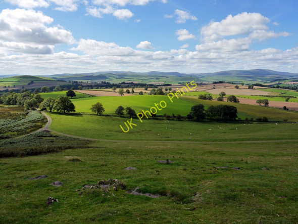 Photo 6"x4" Hillside south of Shepherds Law Titlington c2010