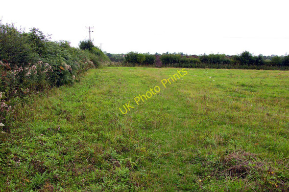 Photo 6"x4" Footpath to Beacon's Bottom Studley Green\/SU7995 c2010