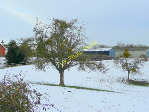 Photo 6"x4" Awnells in winter Lyne Down c2009