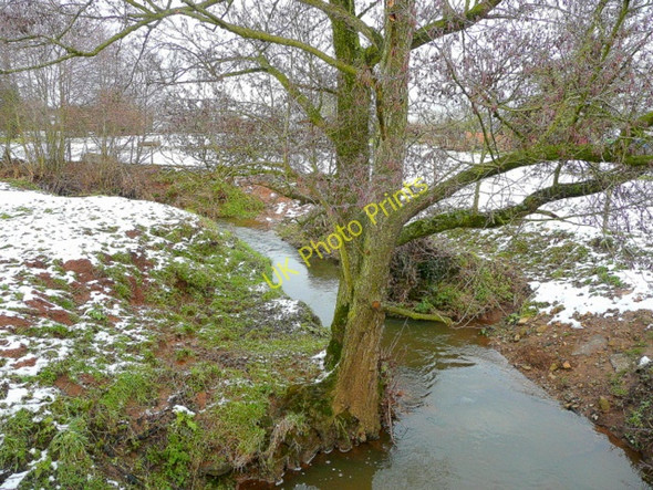 Photo 6"x4" Kempley Brook Fishpool\/SO6629 c2009