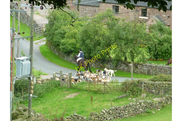 Photo 6"x4" Horse and Hounds near Heaton Heaton\/SJ9562 c2010