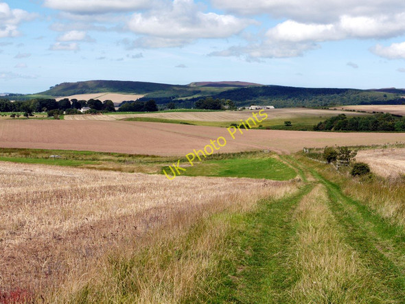 Photo 6"x4" Track to Beanley Beanley c2010