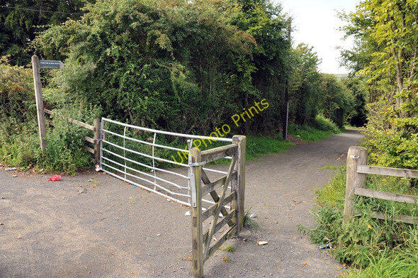Photo 6"x4" Path to River Nethan New Trows c2010