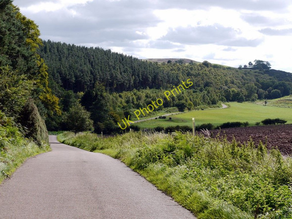 Photo 6"x4" Minor road west of Beanley Plantation Beanley c2010