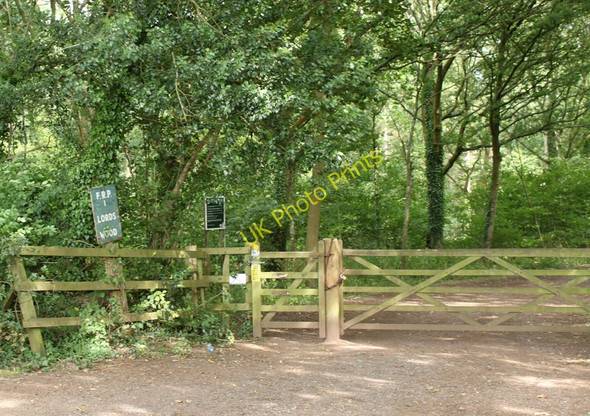 Photo 6"x4" 2010 : Entrance to Lord's Wood Compton Common\/ST6463 c2010