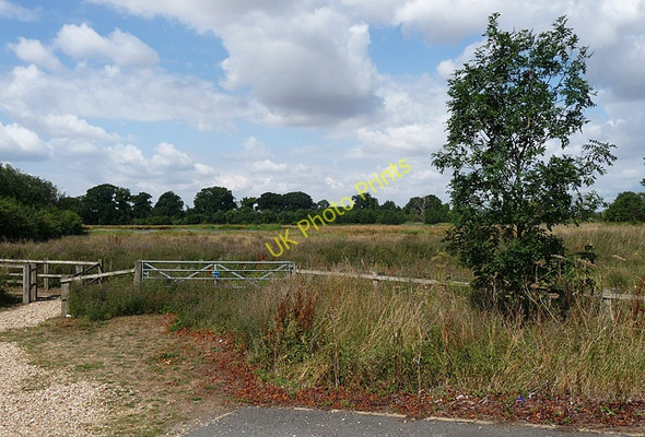 Photo 6"x4" Hagnaby Fen Nature Area (3) Fen Side\/TF3458 c2010