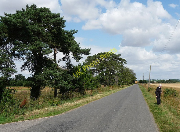Photo 6"x4" Country road near Stickford Fen Side\/TF3458 c2010