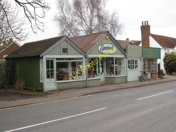 Photo 6"x4" Squirrels, Brockenhurst Balmerlawn c2009