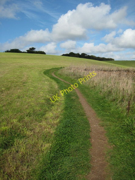 Photo 6"x4" Coast path south of Greeb Point Bohortha c2010