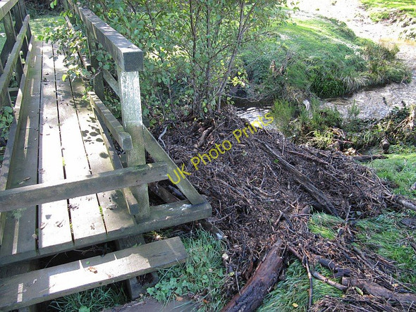 Photo 6"x4" Footbridge and flood debris Westerdale\/NZ6605 c2010