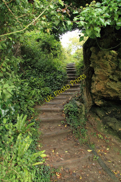 Photo 6"x4" South West Coast Path Vicarage c2010